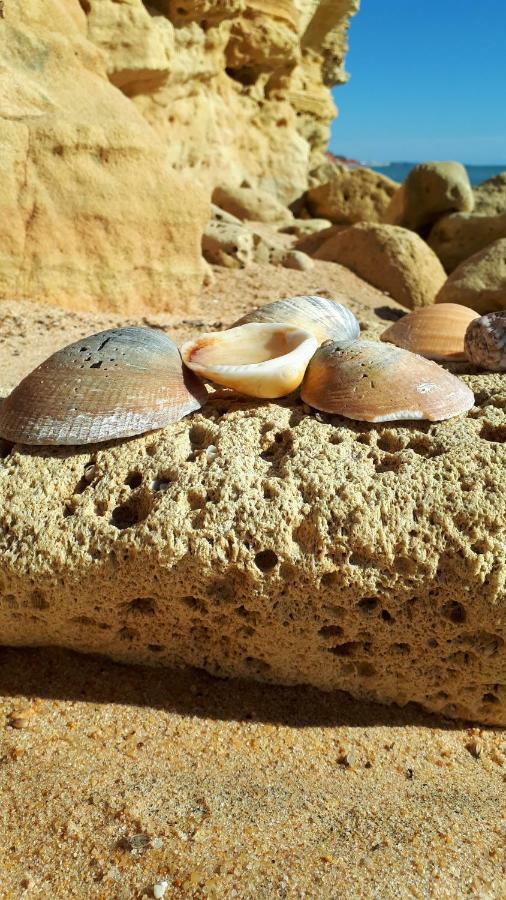 شقة Olhos Do Mar البوفيرا المظهر الخارجي الصورة